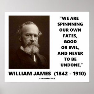 Spinning Our Own Fates Good Or Evil James Quote Poster