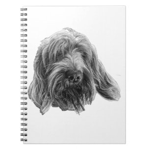 Spinone Field Notes Notebook