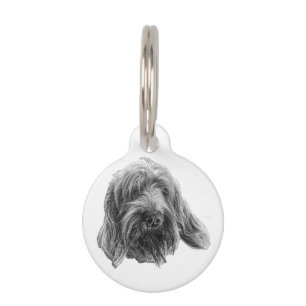 Spinone Field Walker Pet Tag