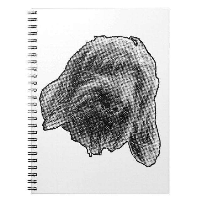 Spinone Hearth Notes Notebook (Front)