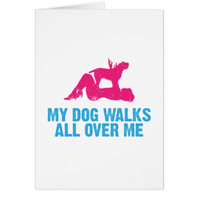 Spinone Italiano (Front)