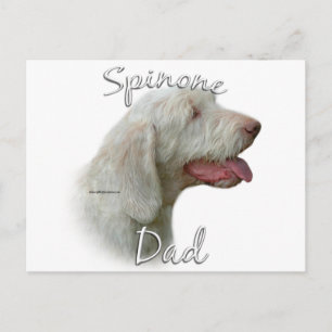 Spinone Italiano Dad 2 Postcard