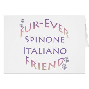 Spinone Italiano Furever Friend
