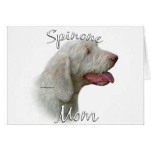 Spinone Italiano Mum 2