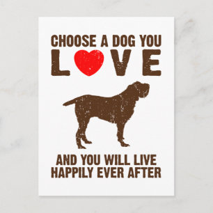 Spinone Italiano Postcard