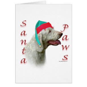 Spinone Italiano Santa Paws