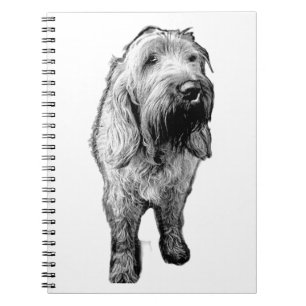 Spinone Notebook – Thoughtful Dog Companion