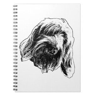 Spinone Soft Notes Notebook