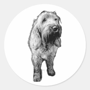 Spinone Sticker – Emotional Dog Portrait