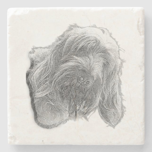 Spinone Stillness – Artisan Coaster (Front)