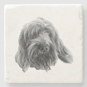 Spinone Stone Gathering Coaster