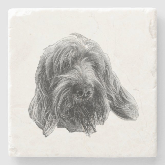 Spinone Stone Gathering Coaster (Front)