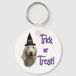 Spinone Trick Keychain