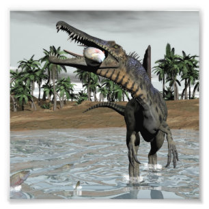 Spinosaurus dinosaur eating fish - 3D render Photo Print
