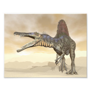 Spinosaurus dinosaur in the desert - 3D render Photo Print