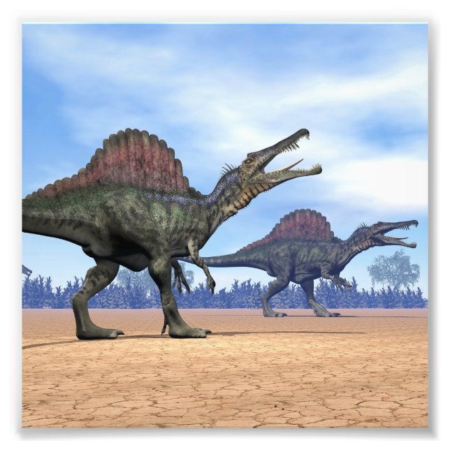 Spinosaurus dinosaurs walk - 3D render Photo Print (Front)