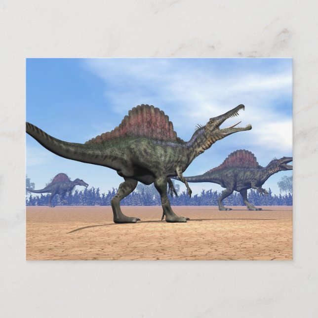 Spinosaurus dinosaurs walk - 3D render Postcard (Front)