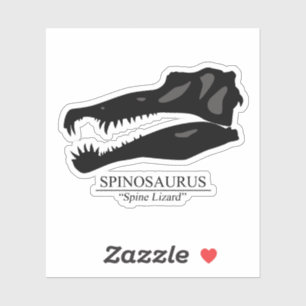 Spinosaurus Skull
