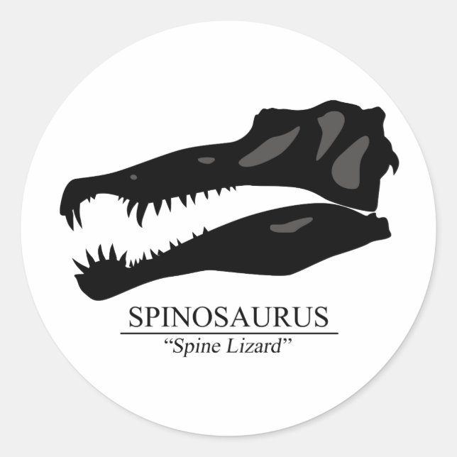 Spinosaurus Skull Classic Round Sticker (Front)