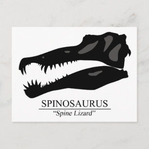 Spinosaurus Skull Postcard