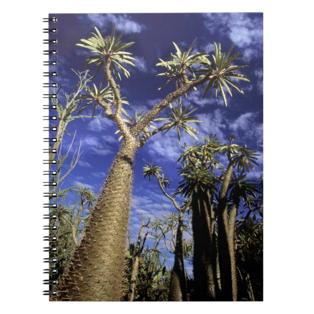 Spiny Forest Formed Of Pachypodium Trees Notebook (Front)