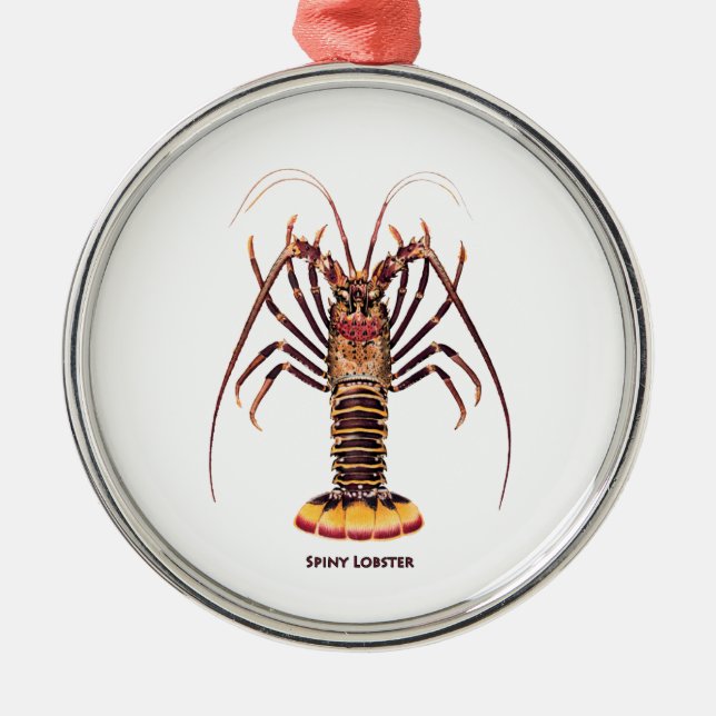 Spiny Lobster (Asian Pacific) Metal Ornament (Front)