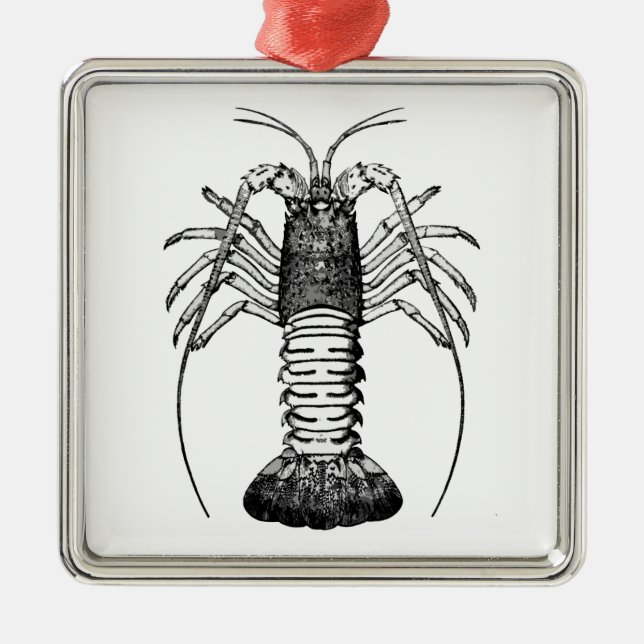 Spiny Lobster (California) Metal Tree Decoration (Front)