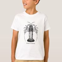 Spiny Lobster (California)