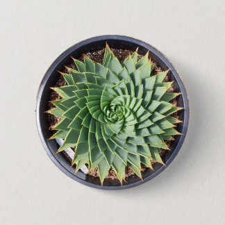 Spiral Aloe Button