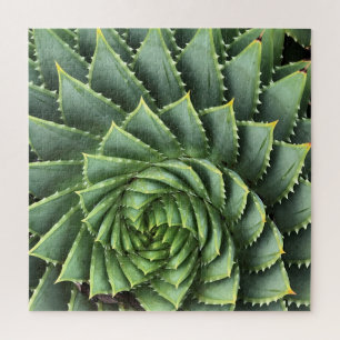 Spiral Aloe Fibonacci Jigsaw Puzzle