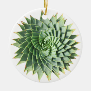 Spiral Aloe Succulent Ornament