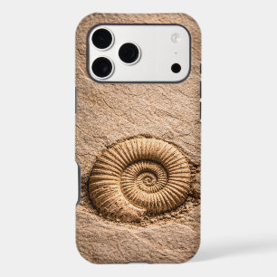 Spiral Ammonite Fossil