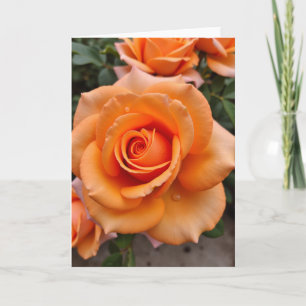 Spiral Blossom Beauty Card