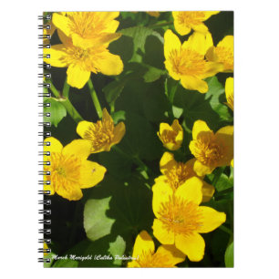 Spiral Bound Notebook 8x11"   Marsh Marigold