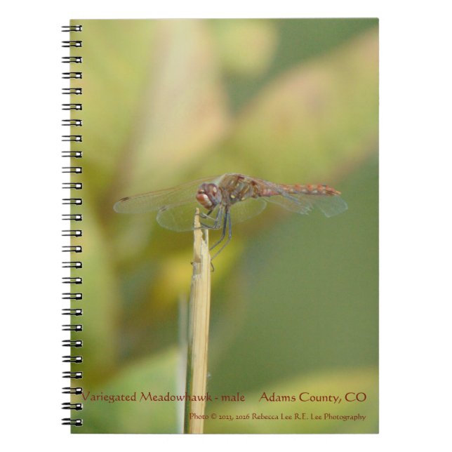 Spiral-bound Notebook with Dragonfly Photo (Front)