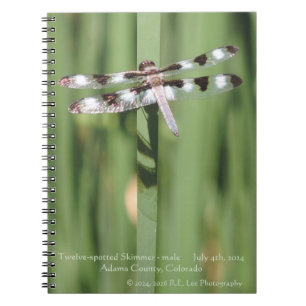 Spiral-bound notebook with Dragonfly Photograph