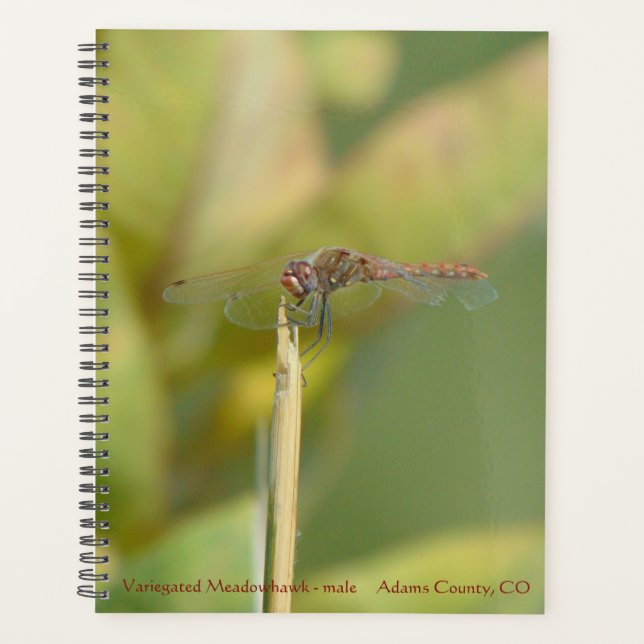 Spiral-bound Planner with Dragonfly Photo (Front)