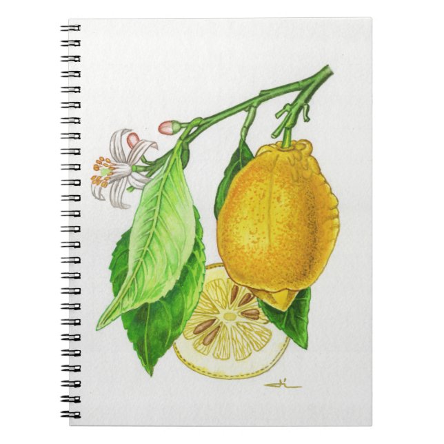 Spiral Citrus Notebook “Limonier ferraris” (Front)