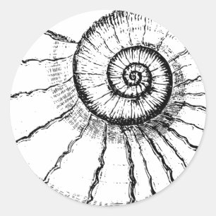 Spiral Fossil Classic Round Sticker
