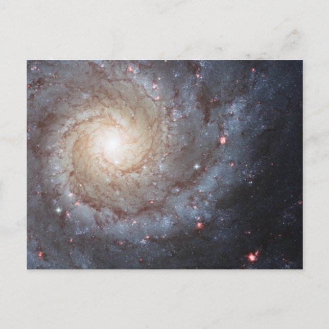 Spiral Galaxy M74 Postcard (Front)