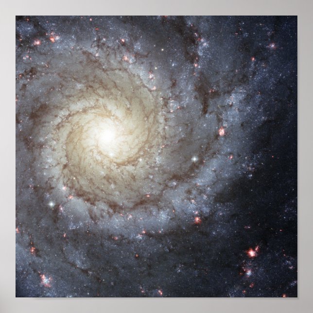 Spiral galaxy M74 Poster (Front)