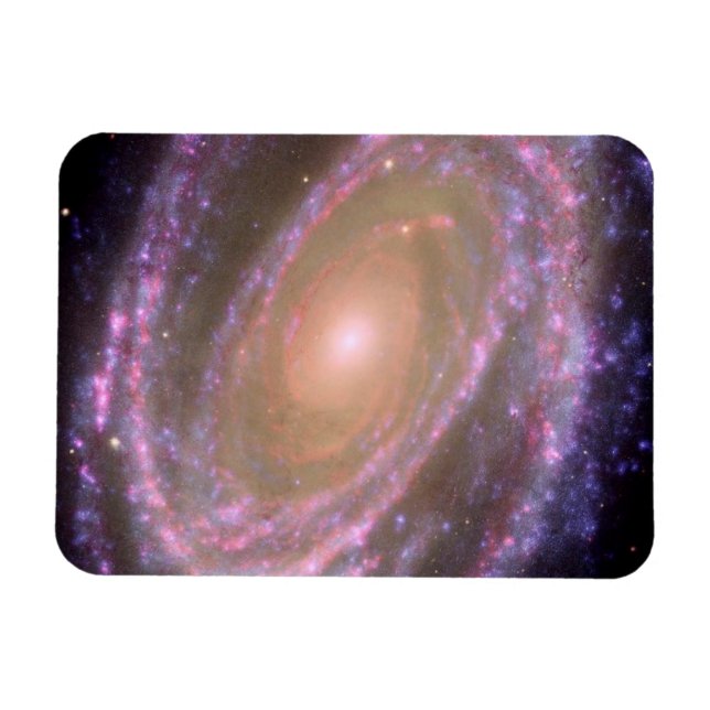 Spiral Galaxy M81 Magnet (Horizontal)