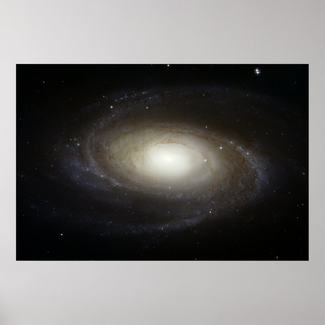 Spiral Galaxy M81 Poster (Front)