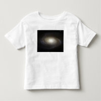 Spiral Galaxy M81