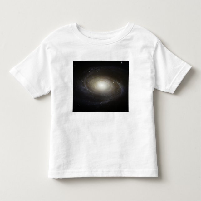 Spiral Galaxy M81 Toddler T-Shirt (Front)