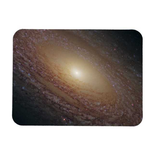 Spiral Galaxy Ngc 2841 Magnet (Horizontal)