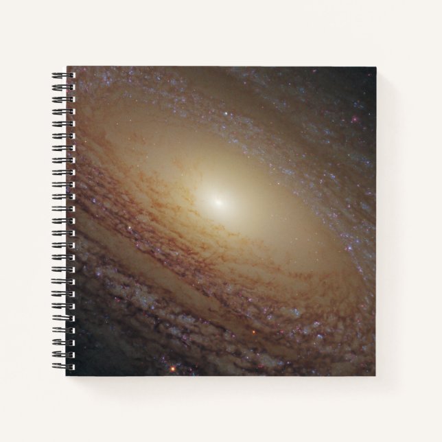 Spiral Galaxy Ngc 2841 Notebook (Front)