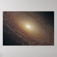 Spiral Galaxy Ngc 2841