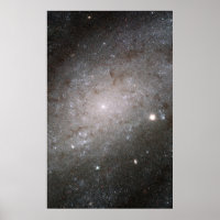 Spiral galaxy NGC 300.