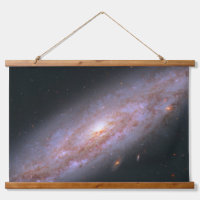 Spiral Galaxy Ngc 3972.
